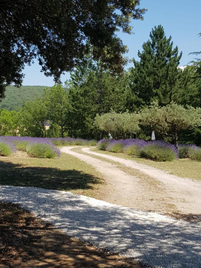 Les Nefliers Gite Céreste Exterior foto