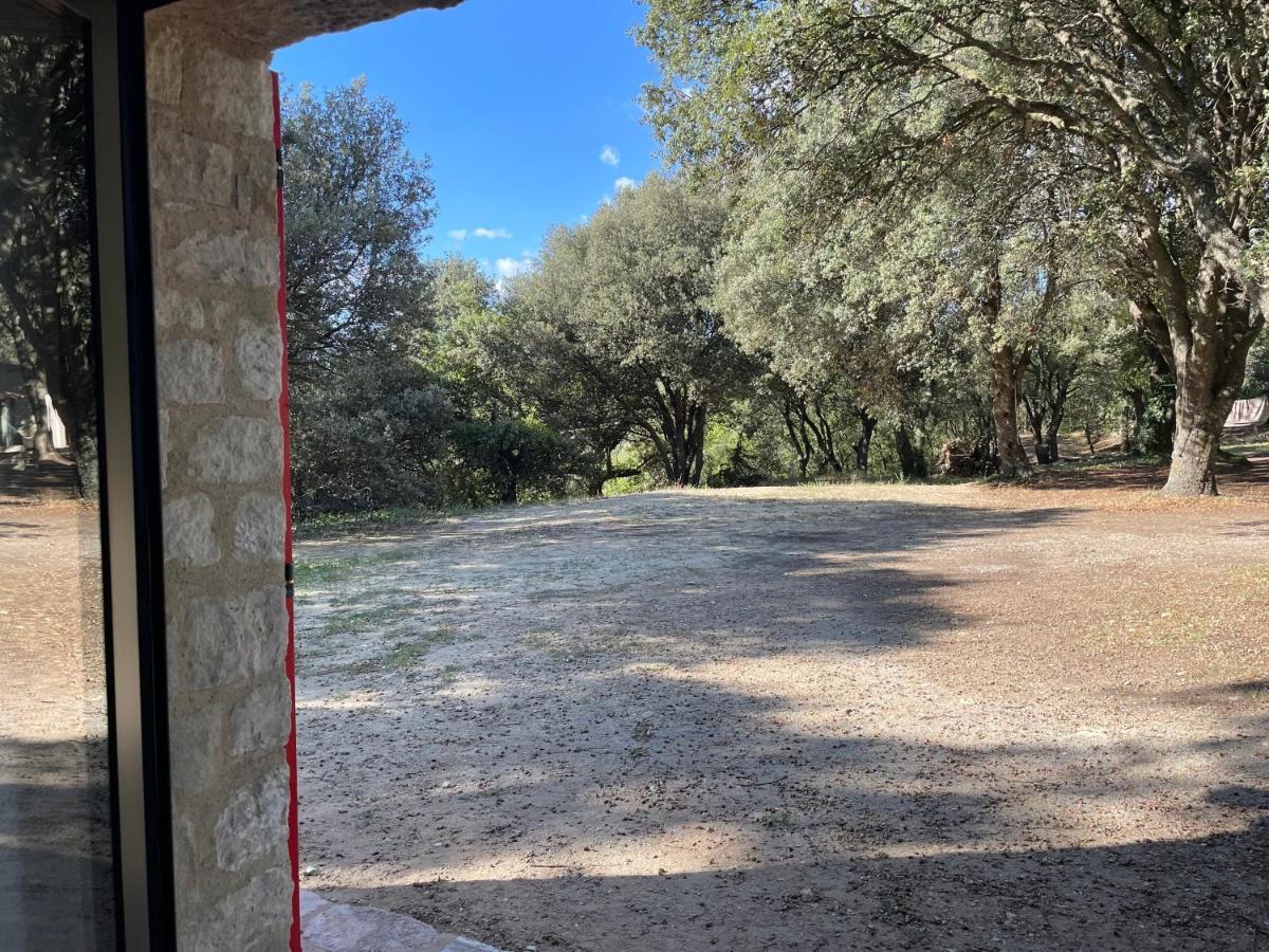 Les Nefliers Gite Céreste Exterior foto